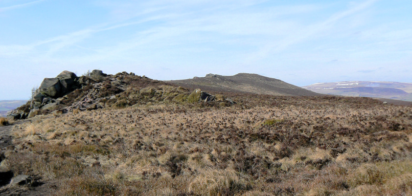 The Roaches The Roaches